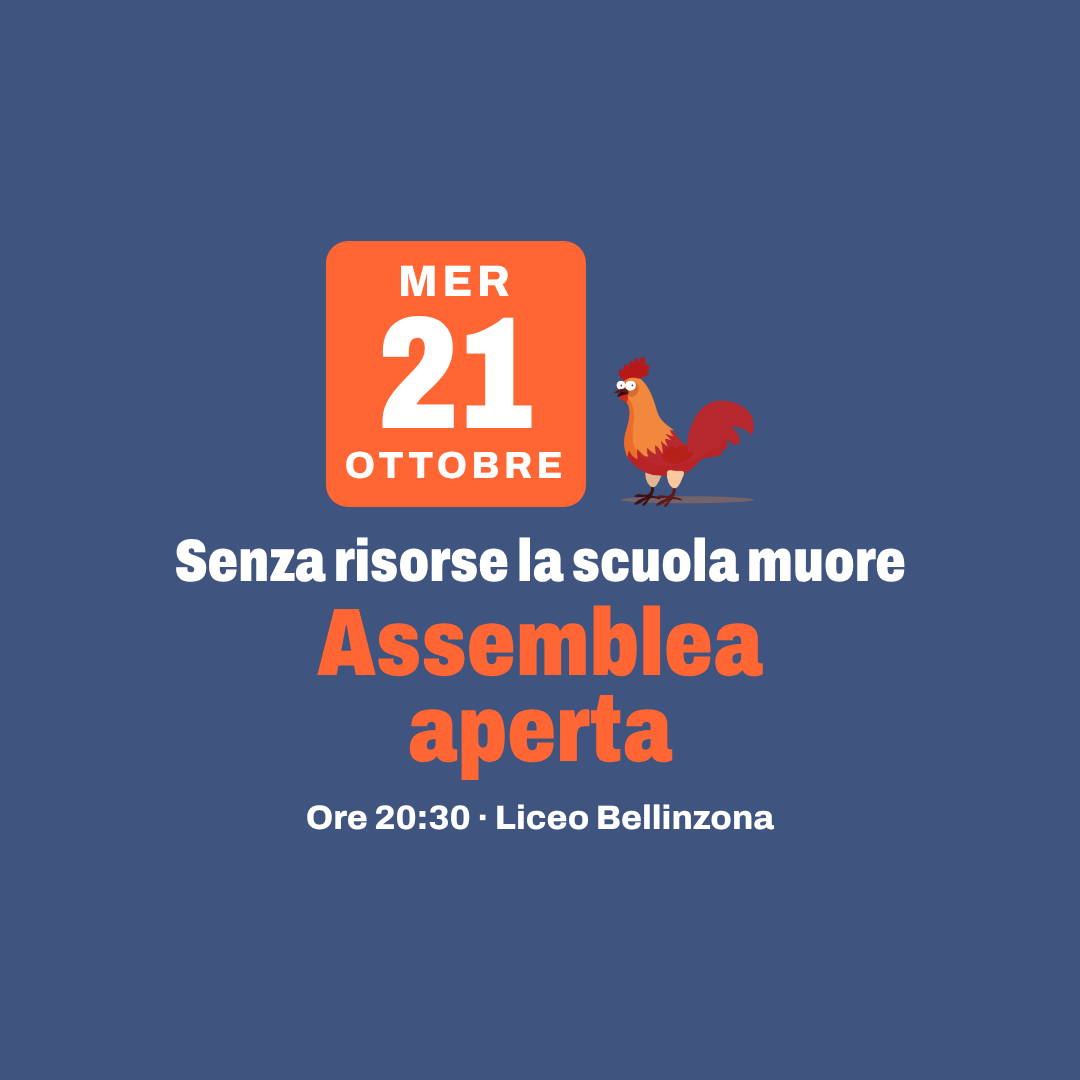Senza risorse la scuola muore - Assemblea Adsms-ErreDiPi-MdS