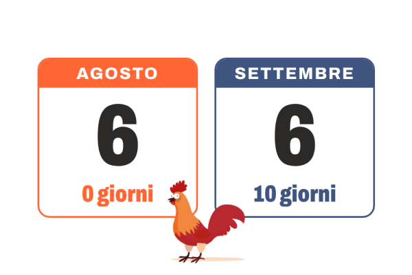 ErreDiPi_anteprima_congedo_1200x630
